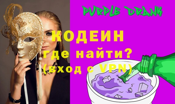 хмурый Бородино