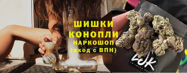 хмурый Бородино